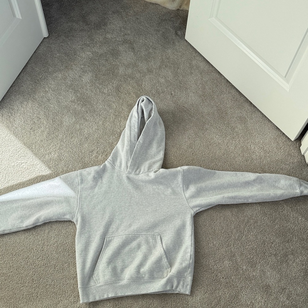 Aritzia Gray Hoodie